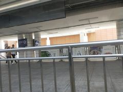 -平湖站