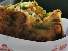 -半月镰胡姐脆皮萝卜饺子