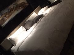 -常州环球恐龙城维景国际大酒店