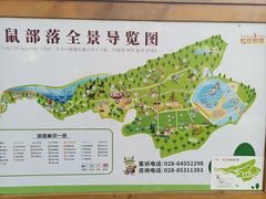-成都松鼠部落