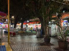 -顺德大良半月城游乐场