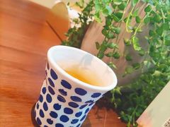 最爱的白桃乌龙茶-莳空烧鸟店(晨沐店)