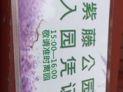 -嘉定紫藤园