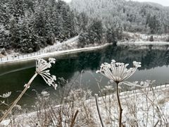 -武陵山森林公园