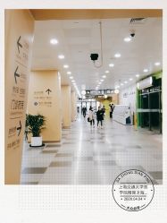 -上海交通大学医学院附属上海儿童医学中心(陆家嘴总院区)