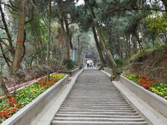 -子昂故里文化旅游区