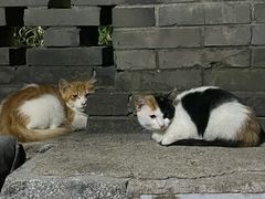 -李叔同故居纪念馆