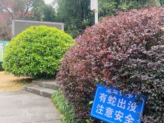 -福道