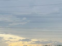-王借岗森林公园