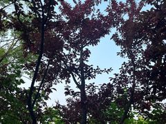 -如皋市龙游湖欢乐世界