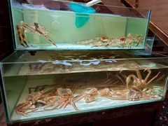 -樱之盛宴·蟹料理海鲜自助(前进大街店)