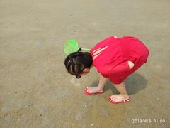 -北海金海湾红树林生态旅游区