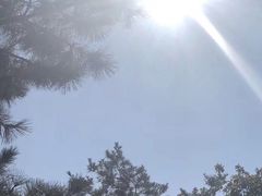 -棒棰岛宾馆景区