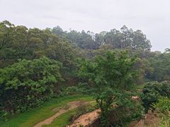 -区海鸡场饭店(石壁店)