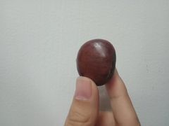 -秋栗香(地安门店)