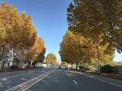 -白水寺森林公园