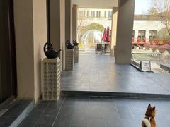 -上海崇明金茂凯悦酒店