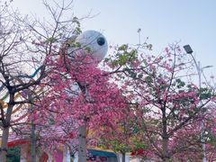 -史努比缤纷世界