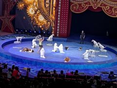 -珠海横琴长隆《卡卡虎奇遇记》