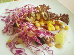 自助蔬菜沙拉-视界美食自助餐厅·石家庄希尔顿酒店