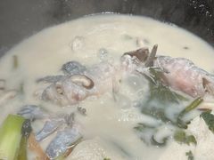 -鲜潭蒸汽石锅鱼(五道口购物中心店)