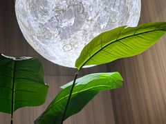 -青水瓦台汤泉(未央店)