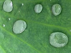 -清真兰州拉面(九龙湖店)