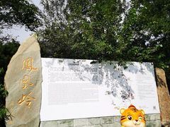 -北京凤凰岭