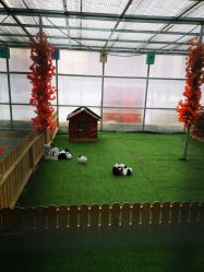 -萌宠亲子动物乐园(槐房万达店)