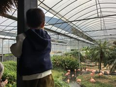 -无锡动物园·太湖欢乐园