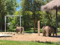 -北京野生动物园