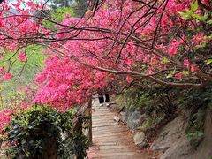-木兰云雾山