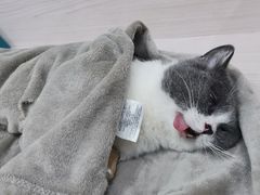 -贝利宠物医院·骨科·眼科·肿瘤转诊中心(南坪诊疗中心)