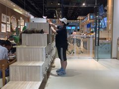 -藏猫猫咖啡主题馆(中央大道店)