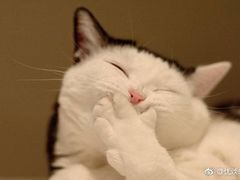 -海底捞火锅(万象城店)