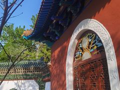 -抱犊寨风景区