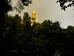 -深圳国际园林花卉博览园