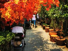 -The Grounds of Alexandria
