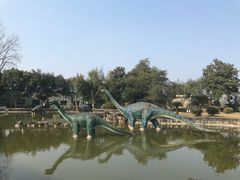 -自贡恐龙博物馆