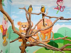 -常州淹城野生动物世界