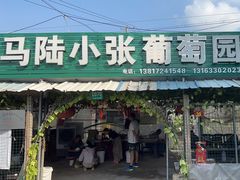 -马陆小张葡萄园农家乐