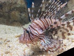 -福州罗源湾海洋世界旅游区