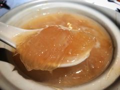 -新同乐鱼翅酒家(美丽华店)