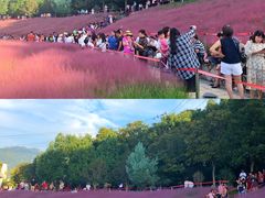 -牛岗山公园