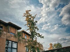 -驿舍·民國老营房院子私房菜(科学会堂店)