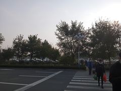 -威海大水泊国际机场