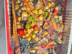 -鱼酷活鱼烤鱼(沈阳大悦城店)