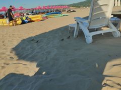 -嵊泗基湖沙滩