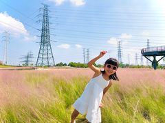 -王借岗森林公园