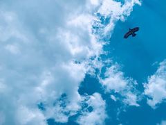 -贵州云顶草原民族风情园